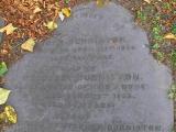 image of grave number 26134